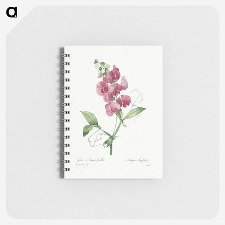 1-24_Pierre-Joseph-Redoute_memo