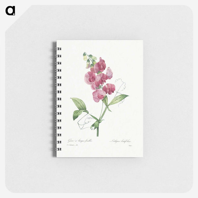 1-24_Pierre-Joseph-Redoute_memo