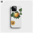 1-24_Pomona-Italiana_phone