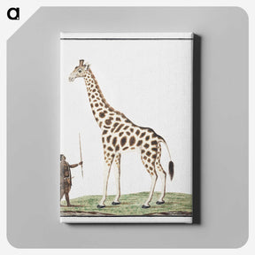 1-24_Robert-Jacob-Gordon_canvas