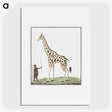 1-24_Robert-Jacob-Gordon_picture