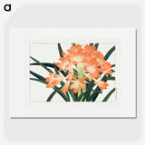 1-24_Seiyo-Soka-Zufu_picture