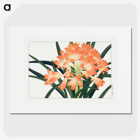 1-24_Seiyo-Soka-Zufu_picture