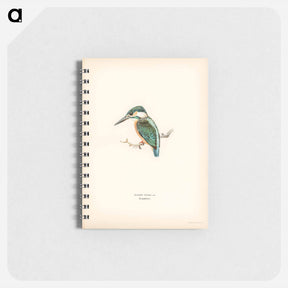 アートメモ帳-Alcedo ispida
 - スヴェンスカ フォグラル Memo.
