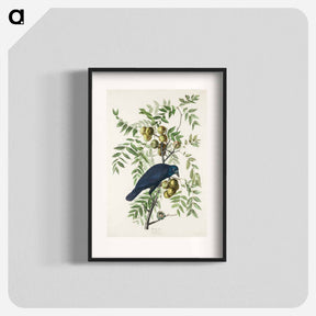 アートポスター-American Crow
 - アメリカの鳥たち Poster.