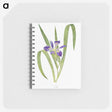 1-24_The-Genus-Iris_memo