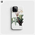 1-24_The-Lilies_phone