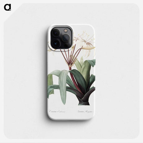 1-24_The-Lilies_phone