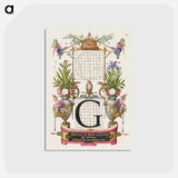 アートポストカード-Guide for Constructing the Letter G from Mira Calligraphiae Monumenta
 - 書道のお手本 Postcard.