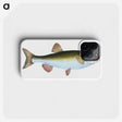 1-24_The-Natural-History-of-British-Fishes_phone