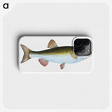 1-24_The-Natural-History-of-British-Fishes_phone