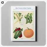 1-24_The-Open-Door-to-Independence_canvas