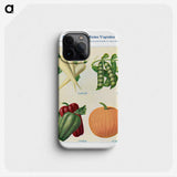 1-24_The-Open-Door-to-Independence_phone