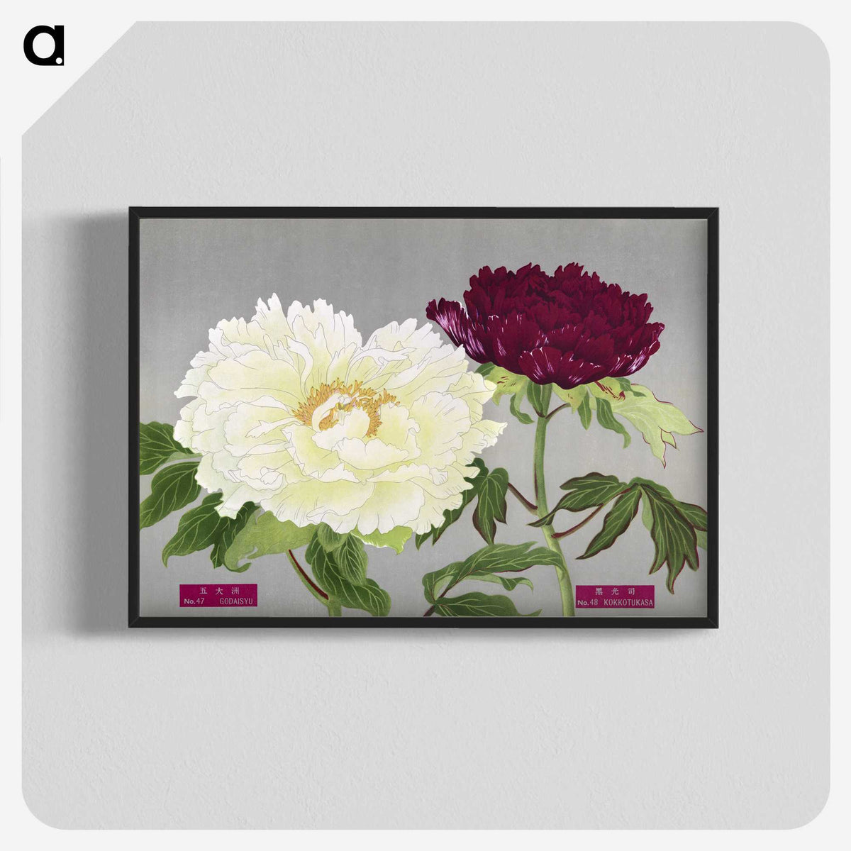 1-24_The-Picture-Book-of-Peonies_blk-crop