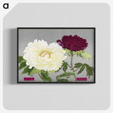 1-24_The-Picture-Book-of-Peonies_blk-crop