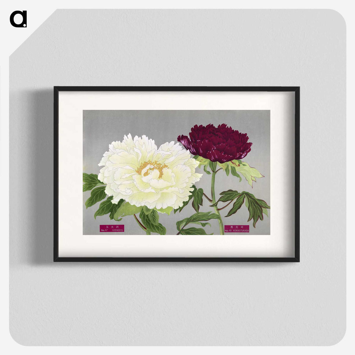 1-24_The-Picture-Book-of-Peonies_blk