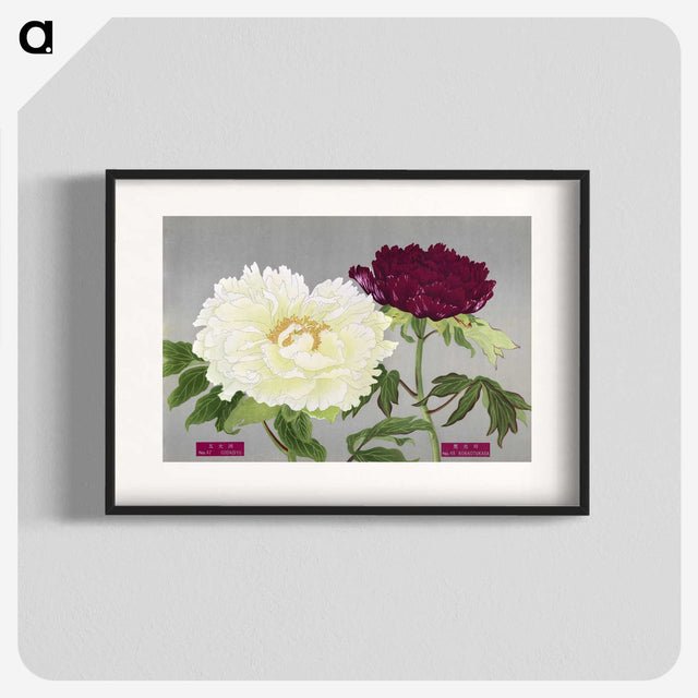 1-24_The-Picture-Book-of-Peonies_blk