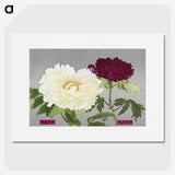 1-24_The-Picture-Book-of-Peonies_picture