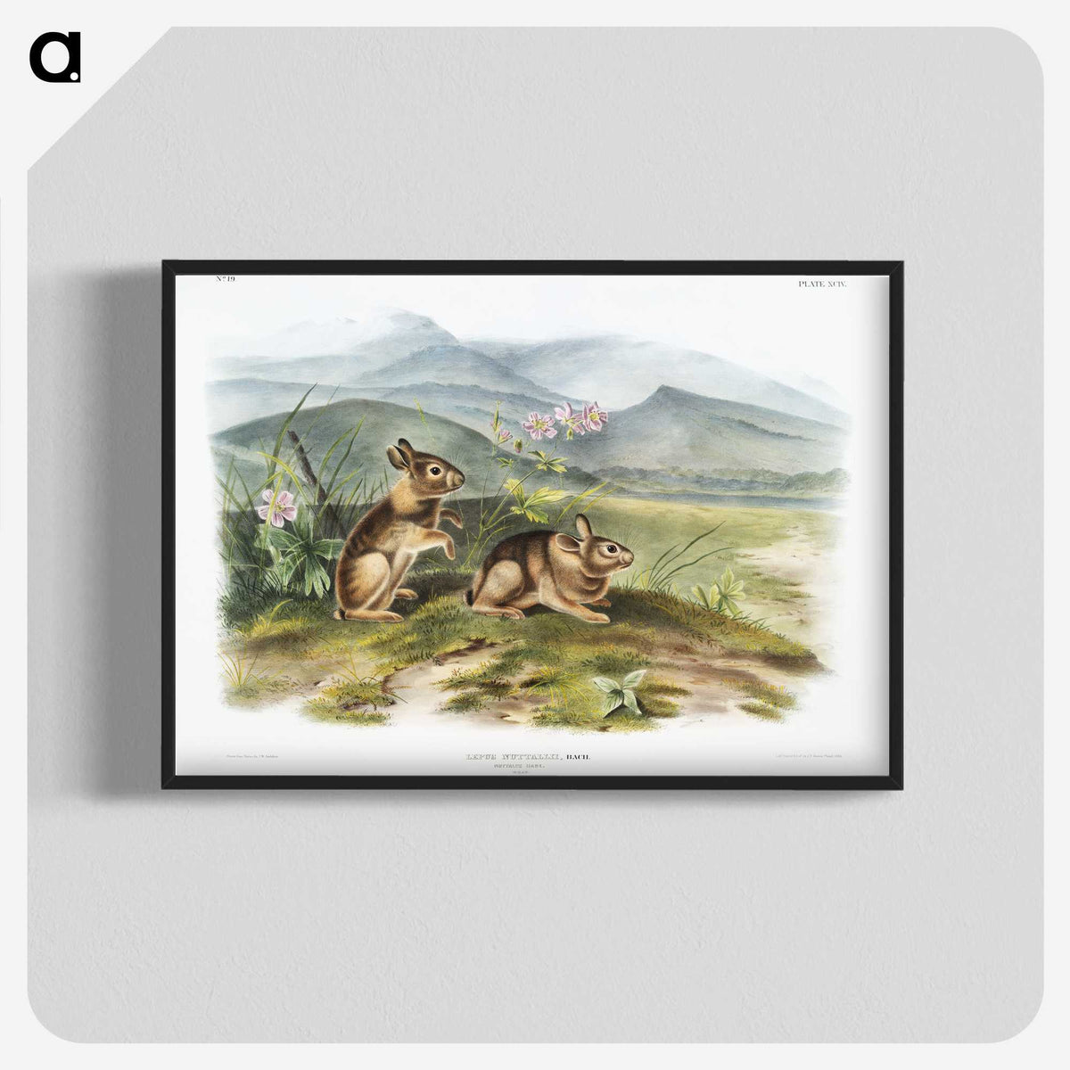 1-24_The-Viviparous-Quadrupeds_blk-crop