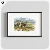 1-24_The-Viviparous-Quadrupeds_blk