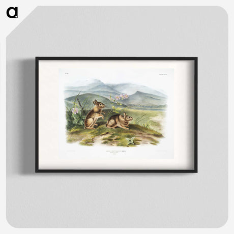 1-24_The-Viviparous-Quadrupeds_blk