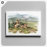 1-24_The-Viviparous-Quadrupeds_canvas