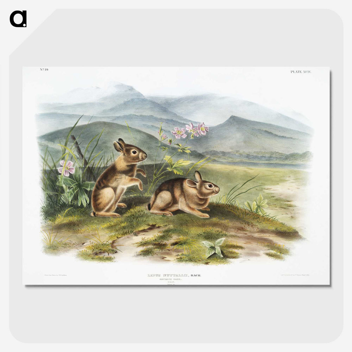 1-24_The-Viviparous-Quadrupeds_picture-crop