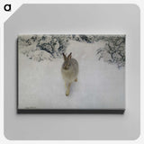1-24_Thiel-Gallery_canvas