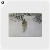 1-24_Thiel-Gallery_postcard