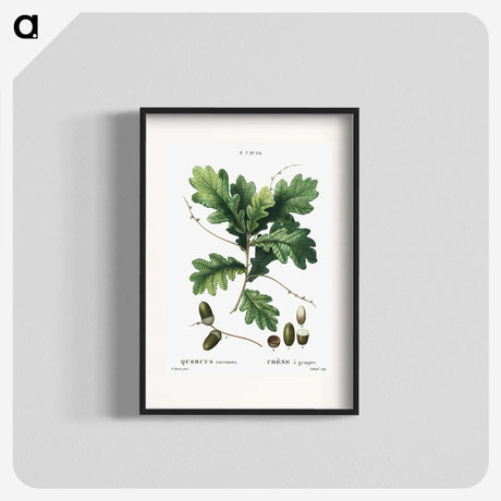 1-24_Treatise-on-Trees-and-Shrubs_blk