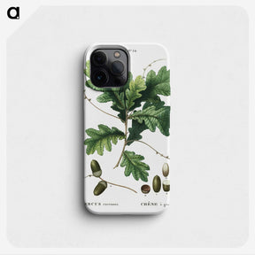 1-24_Treatise-on-Trees-and-Shrubs_phone