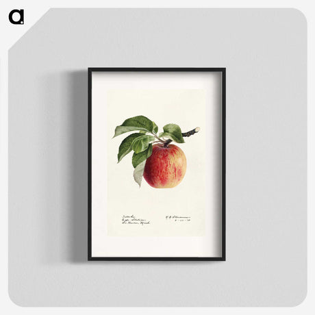 1-24_USDA-Watercolor-Fruit-Painting-Collection_blk