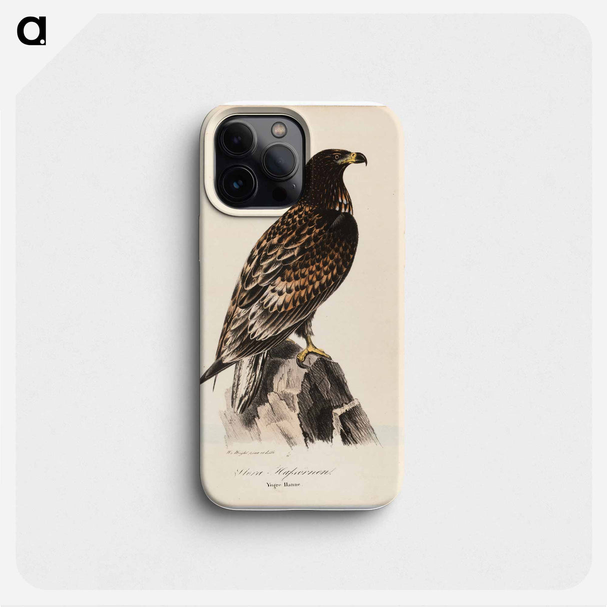 Stora-hafsörnen. yngre hanne - ヴィルヘルム フォン ライト Phone Case.