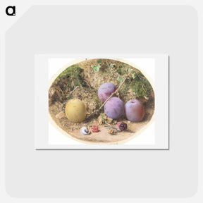 アートポストカード-Plums and Mulberries - ウィリアム ヘンリー ハント Postcard.