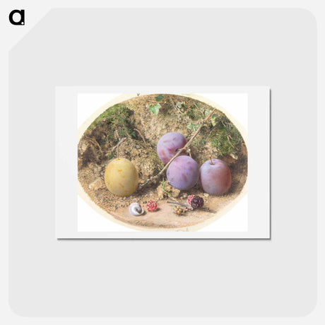 アートポストカード-Plums and Mulberries - ウィリアム ヘンリー ハント Postcard.