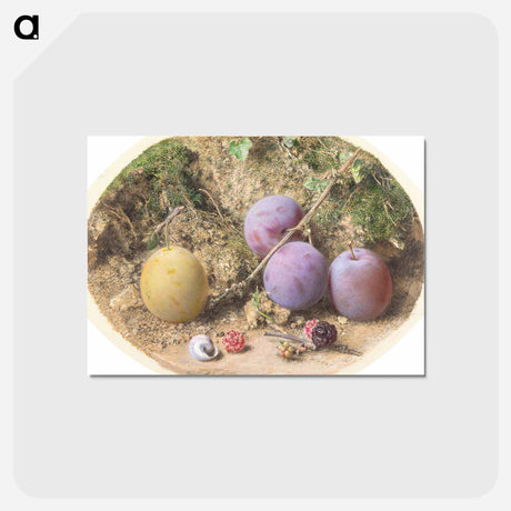 アートポストカード-Plums and Mulberries - ウィリアム ヘンリー ハント Postcard.