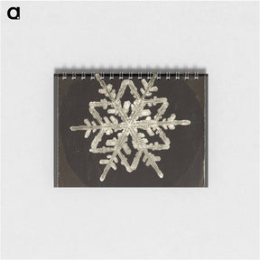 アートメモ帳-Wilson Bentley Photomicrograph of Fernlike Stellar Snowflake No. 542A - ウィルソン ベントレー Memo.