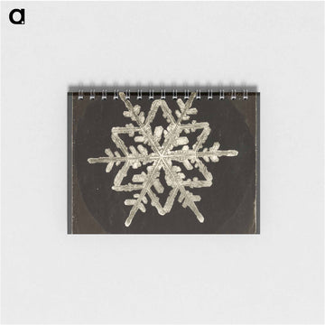 Wilson Bentley Photomicrograph of Fernlike Stellar Snowflake No. 542A - ウィルソン ベントレー Memo.
