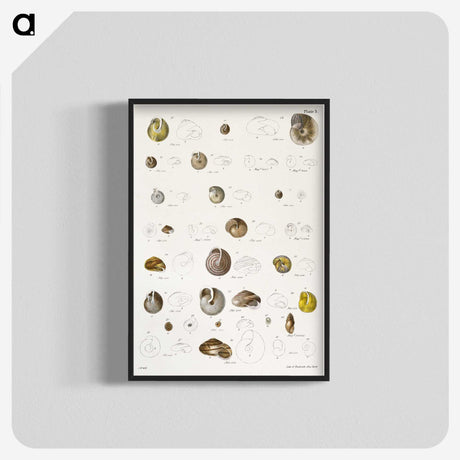 1-24_Zoology-of-New-York_blk-crop