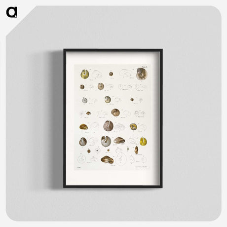 1-24_Zoology-of-New-York_blk