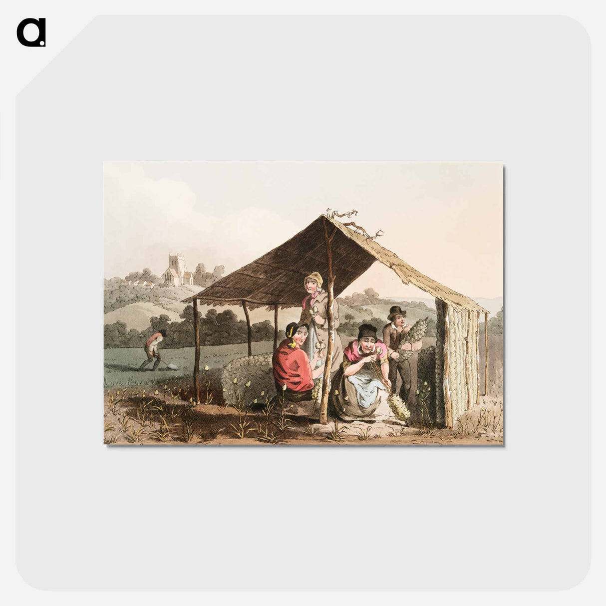 Illustration of teasel field - 19世紀のヨークシャー Postcard.