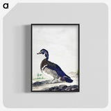1-25_Aert-Schouman_blk-crop