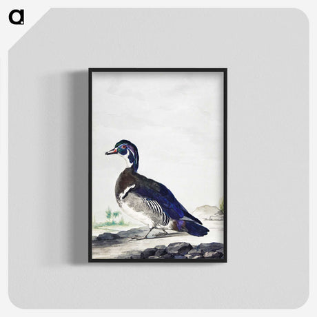 1-25_Aert-Schouman_blk-crop