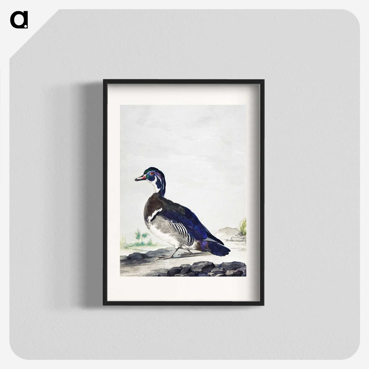1-25_Aert-Schouman_blk
