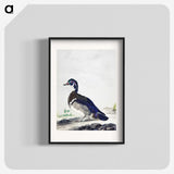 1-25_Aert-Schouman_blk