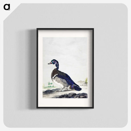1-25_Aert-Schouman_blk