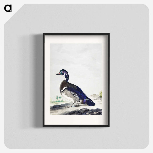 1-25_Aert-Schouman_blk
