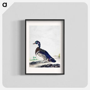 アートポスター-A Duck - アールト シューマン Poster.