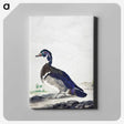1-25_Aert-Schouman_canvas