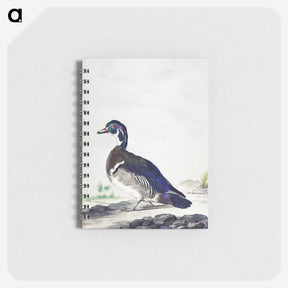 1-25_Aert-Schouman_memo